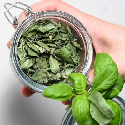 Dehydrated Basil