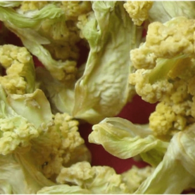 Cauli Flower